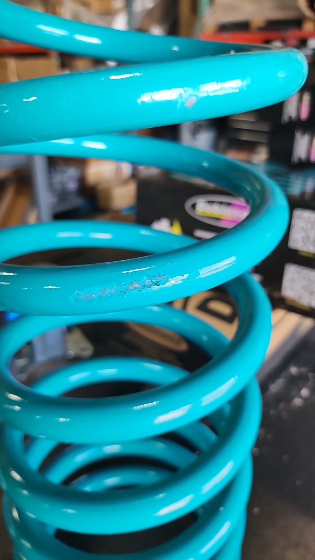 Dobinsons Scratch and Dent Rear Coil Springs (C59-175V)