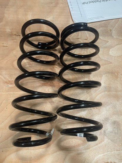 Dobinsons Scratch and Dent Pair of Rear Coils - C59-535B