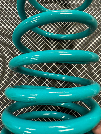 Dobinsons Scratch and Dent Pair of Rear Coil Springs - C59-819V